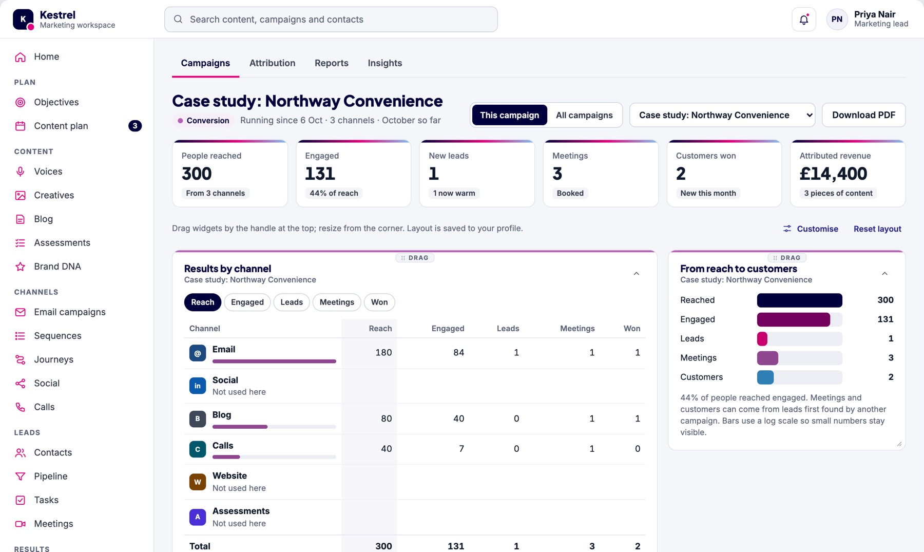 Campaign results: people reached, engaged, leads, meetings, customers and revenue, with results by channel.